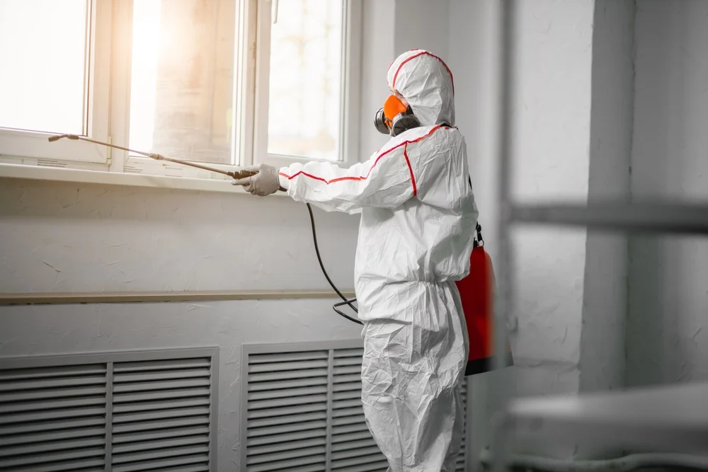 Professional mold remediation services in Fort Bliss, TX